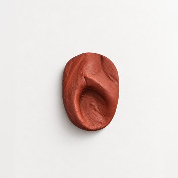 Clay ear study, earcup cavity