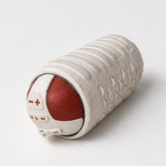 Speaker mock-up, control face